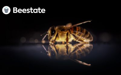 Eine neue Königin im Bienenstaat: PropTech mischt mit Beestate® den FM-Einkauf auf